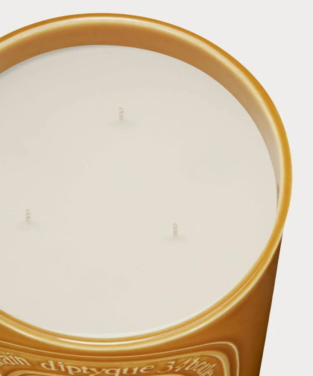 Diptyque Candles & Candle Holders^Ambre Three Wick Candle 600g