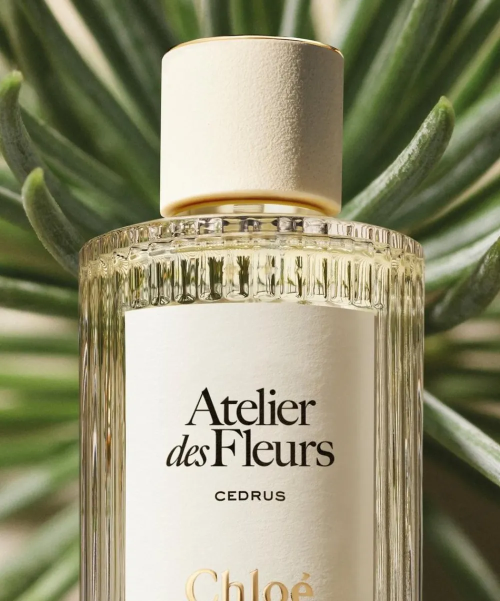 Chloé Womens Perfume^Atelier des Fleurs Cedrus Eau de Parfum 50ml