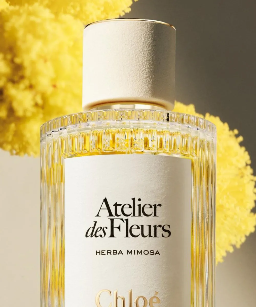 Chloé Womens Perfume^Atelier des Fleurs Herba Mimosa Eau de Parfum 50ml
