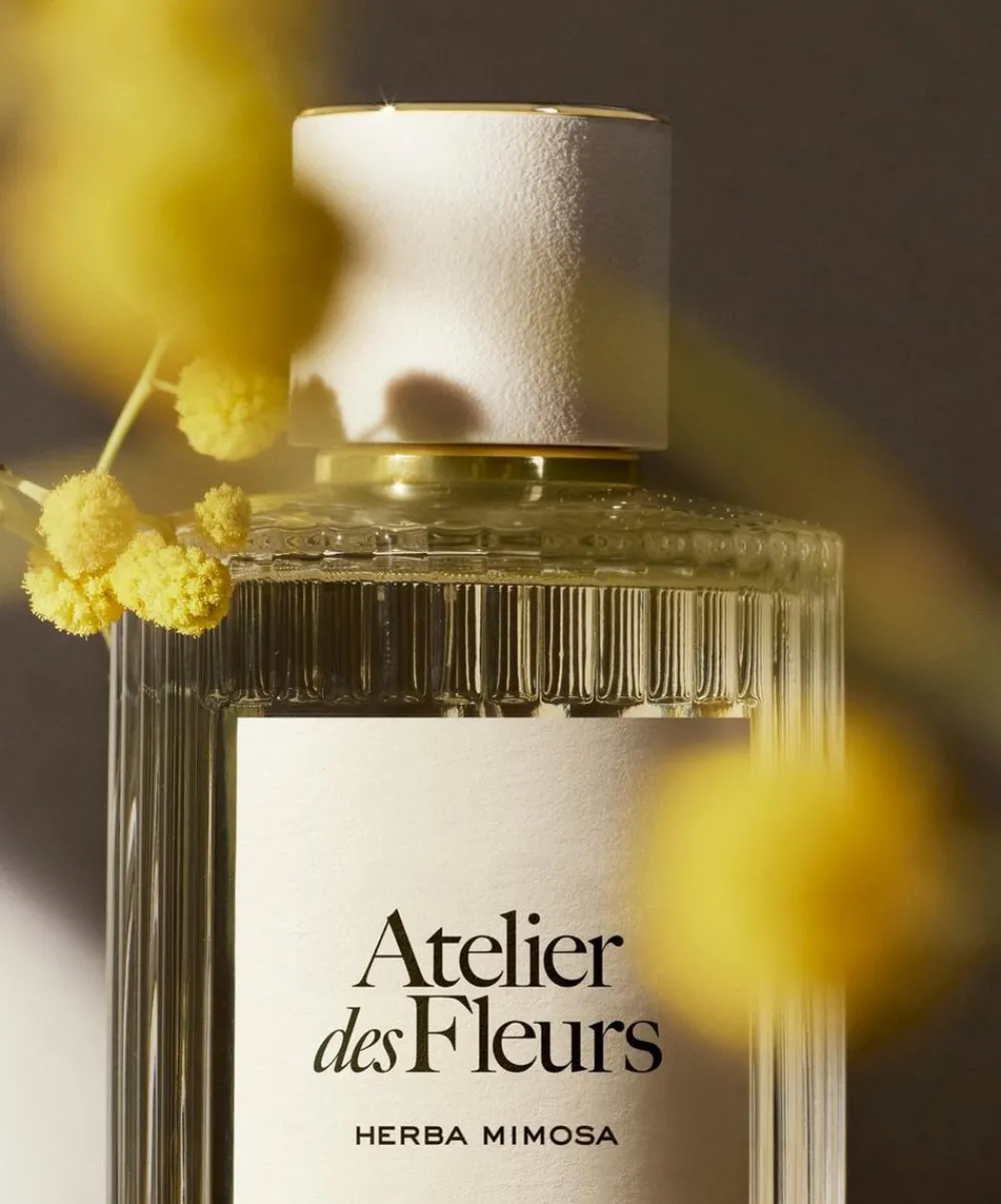 Chloé Womens Perfume^Atelier des Fleurs Herba Mimosa Eau de Parfum 150ml