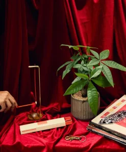 P.F. Candle Co. Candles & Candle Holders^Blonde Hinoki HI-FI Incense Sticks