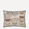 John Derian Cushions^Butterfly Studies Parchment Cushion