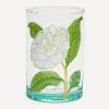 Marin Montagut Glass & Drinksware^Camellia Illustrated Glass