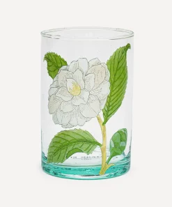 Marin Montagut Glass & Drinksware^Camellia Illustrated Glass