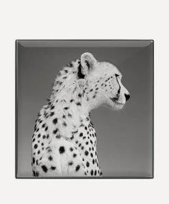 Chantecaille Eyes^Cheetah Luminescent Eye Shade
