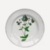 Astier de Villatte Tableware|Kitchen^Columbine Flower Soup Plate