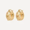 Anna + Nina Earrings^14ct Gold-Plated Sable Hoop Earrings