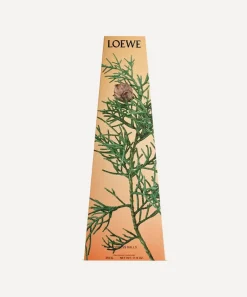 Loewe Candles & Candle Holders^Cypress Balls-Scented Chandelier Candle