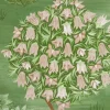Liberty Interiors Wallpaper|Wallpaper^Enchanted Wood in Jade