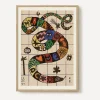 PSTR Studio Wall Art^Enikő Eged Magic Snake Framed Print