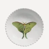 Astier de Villatte Tableware^Eyed Green Butterfly Soup Plate