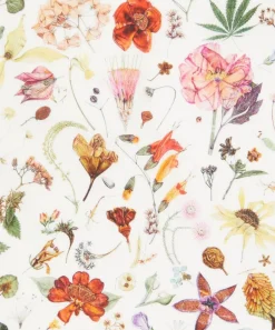 Liberty Fabrics Classic Tana Lawn|Tana Lawn™ Cotton^Floral Eve Tana Lawn™ Cotton