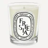 Diptyque Candles & Candle Holders^Freesia Scented Candle 190g