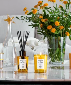 Acqua Di Parma Candles & Candle Holders^Insieme Room Diffuser 200g