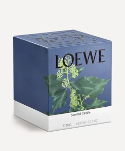 Loewe Candles & Candle Holders^Large Ivy Candle 2120g
