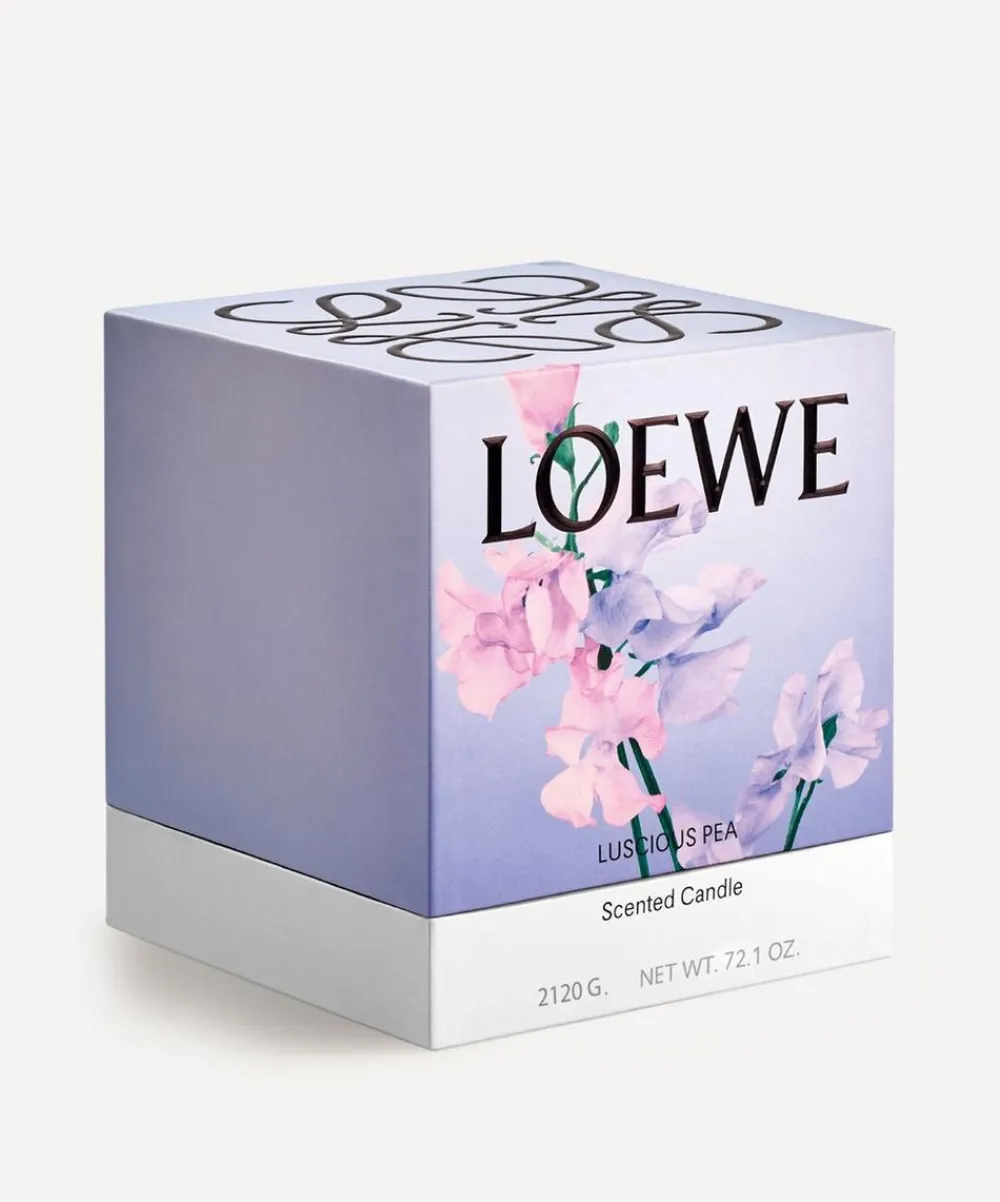 Loewe Candles & Candle Holders^Large Luscious Pea Candle 2120g