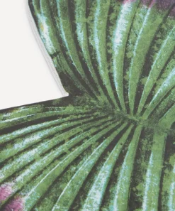 Astier de Villatte Tableware|Living Room^Leaf 31 Platter