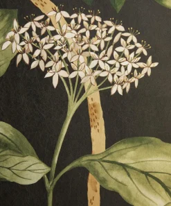 Liberty Interiors Wallpaper|Wallpaper^Magical Plants in Jade