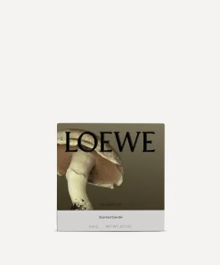 Loewe Candles & Candle Holders^Medium Mushroom Candle 610g