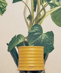 Loewe Candles & Candle Holders|Living Room^Medium Wasabi Candle 610g