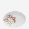 Astier de Villatte Tableware^Nerium Oleander Oval Platter
