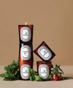 Diptyque Candles & Candle Holders^Odour Removing Scented Candle 190g
