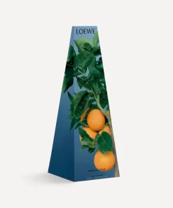 Loewe Candles & Candle Holders^Orange Blossom Scented Chandelier Candle 330g