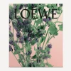 Loewe Bathroom|Bath & Body Wash^Oregano Small Bar Soap Duo