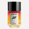 Loewe Candles & Candle Holders|Womens Perfume^Paula’s Ibiza Cosmic Eau de Parfum 100ml