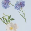 Liberty Fabrics Tana Lawn™ Cotton^Posy Scatter Tana Lawn™ Cotton
