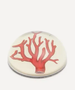 John Derian Stationery And Games^Red Coral Paperweight