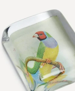 John Derian Stationery And Games^Red-Headed Gouldian Finch Paperweight