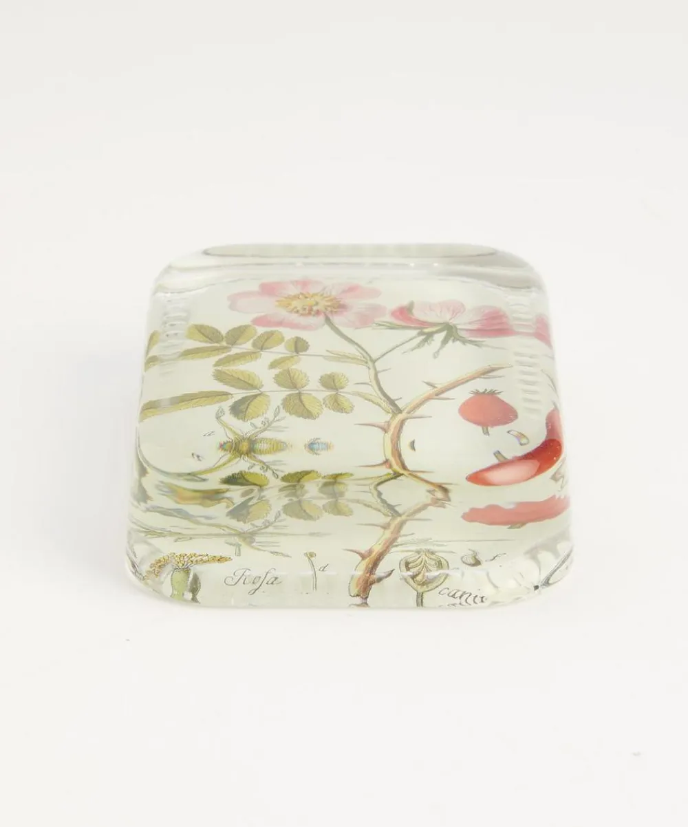 John Derian Stationery And Games^Rose Cannia Dotted Edge Paperweight