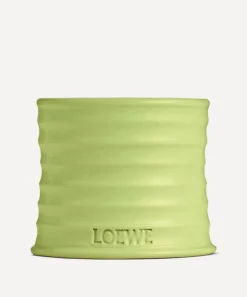 Loewe Candles & Candle Holders^Small Cucumber Candle 170g