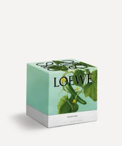 Loewe Candles & Candle Holders^Small Cucumber Candle 170g