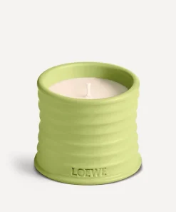 Loewe Candles & Candle Holders^Small Cucumber Candle 170g