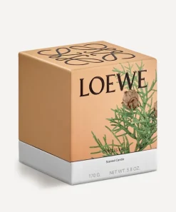 Loewe Candles & Candle Holders^Small Cypress Balls Candle 170g