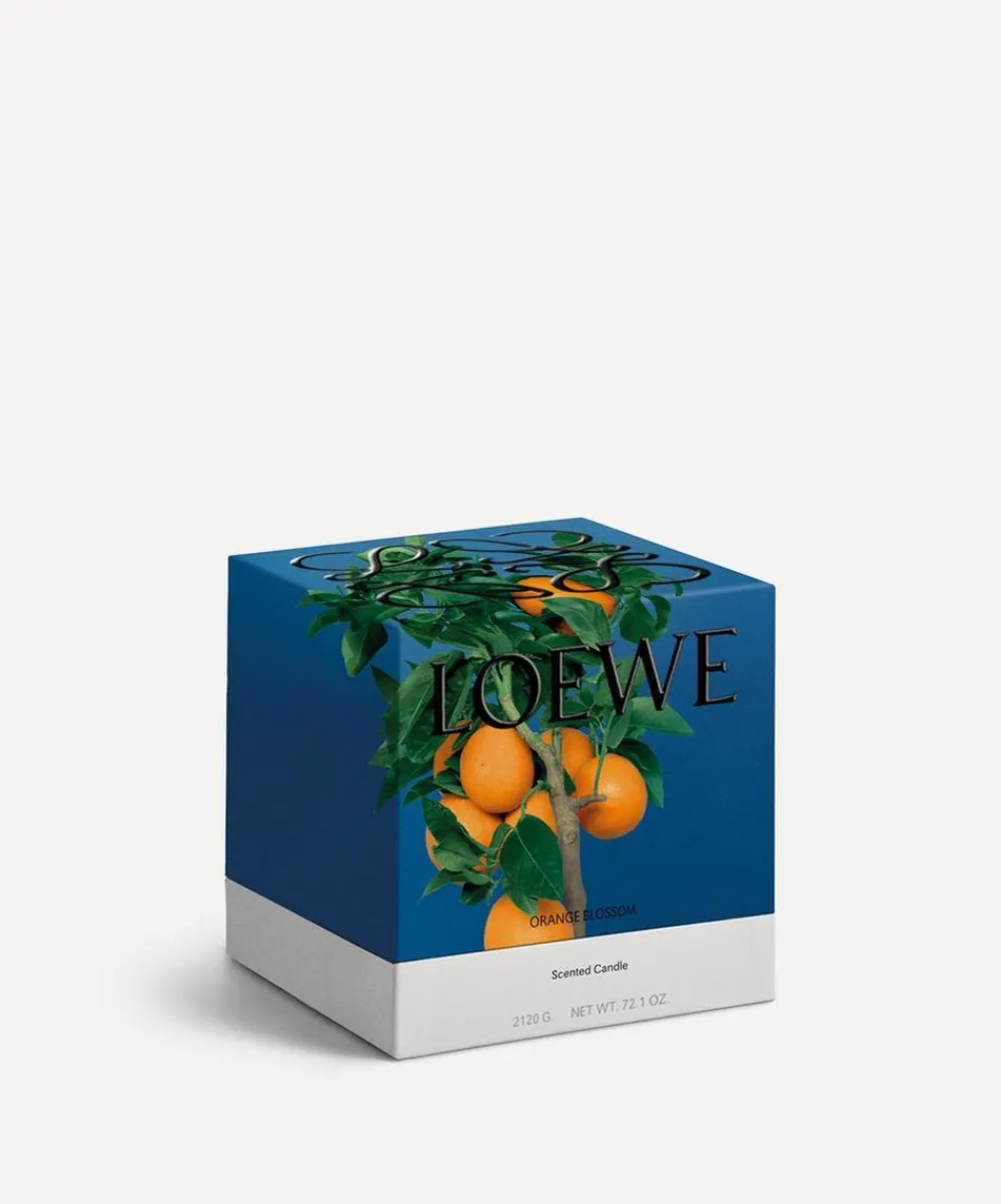 Loewe Candles & Candle Holders^Small Orange Blossom Candle 170g