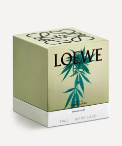 Loewe Candles & Candle Holders^Small Scent of Marihuana Candle 170g