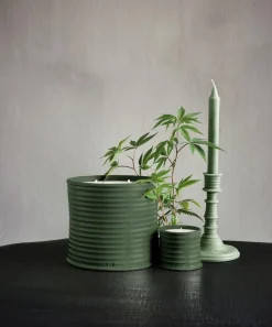 Loewe Candles & Candle Holders^Small Scent of Marihuana Candle 170g