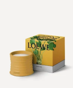 Loewe Candles & Candle Holders|Living Room^Small Wasabi Candle 170g