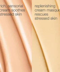 Dermalogica Facial Serums & Oils^Stressed Skin Recovery System