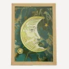 Marin Montagut Ornaments^The Crescent Moon Showcase of Wonder