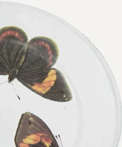Astier de Villatte Tableware^Three Butterflies Plate