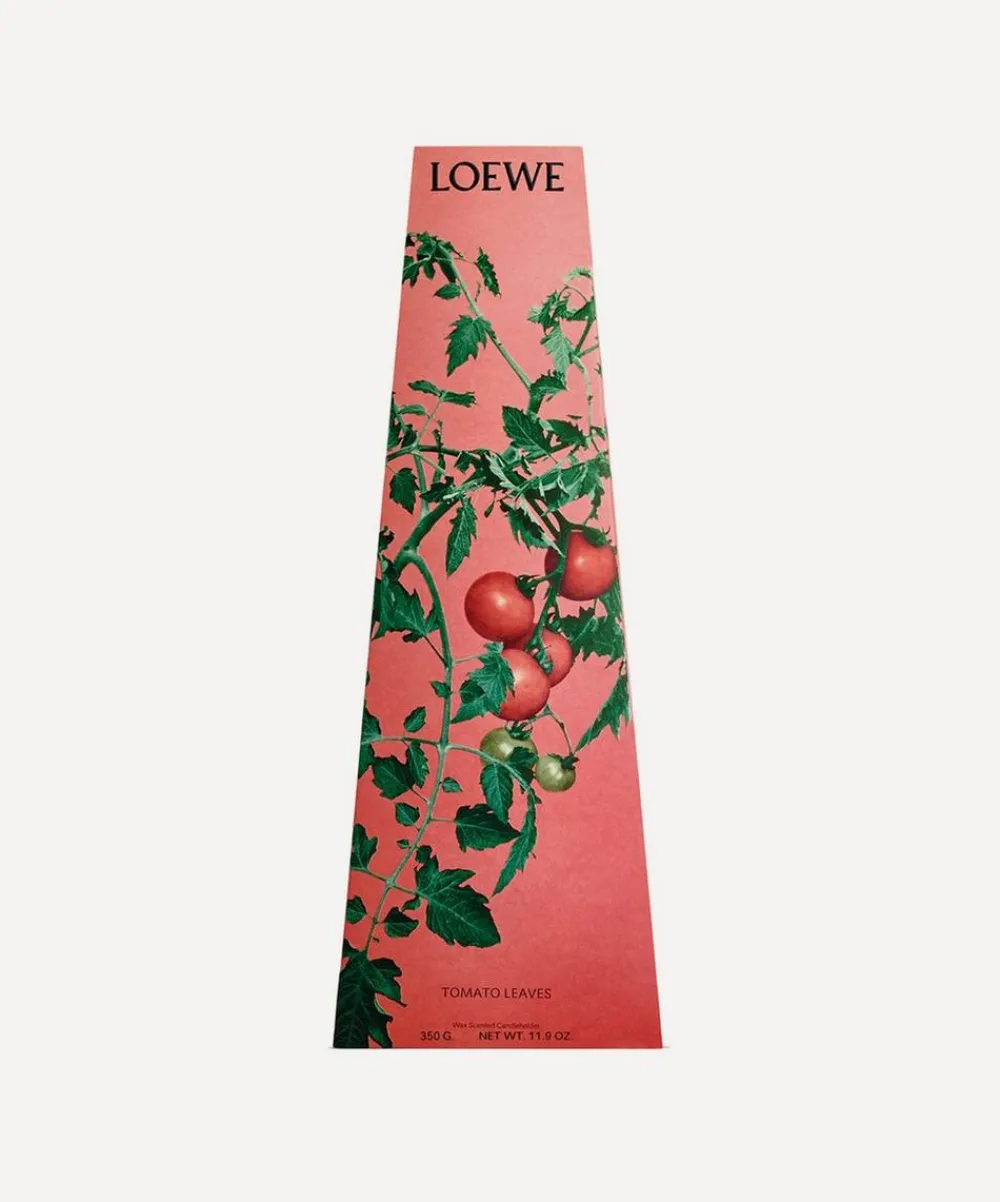 Loewe Candles & Candle Holders^Tomato Leaves-Scented Chandelier Candle