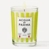 Acqua Di Parma Candles & Candle Holders^Ulivo Limited Edition Scented Candle 200g