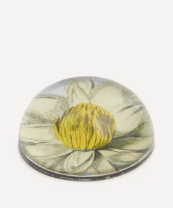 John Derian Stationery And Games^Water Lily Paperweight